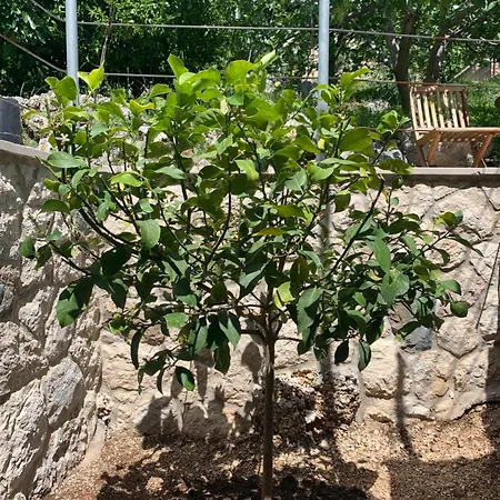 Casa - Vacation In Omiš